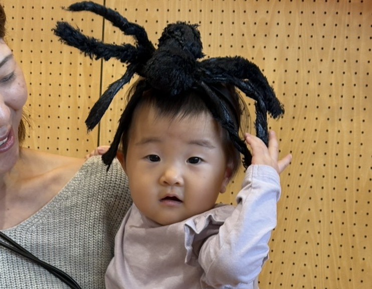 1762407270570HPスパイダー