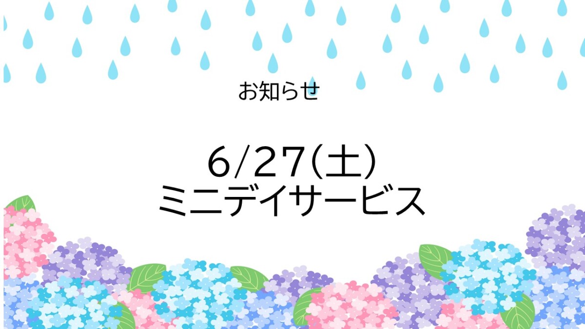 ミニデイ